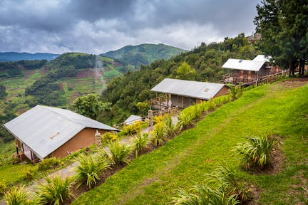 Ruhija Sector