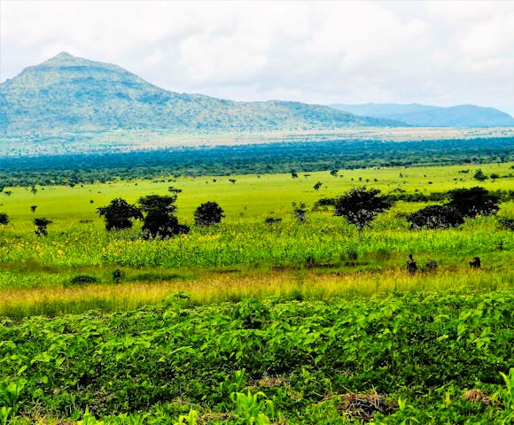 Kidepo Valley National Park