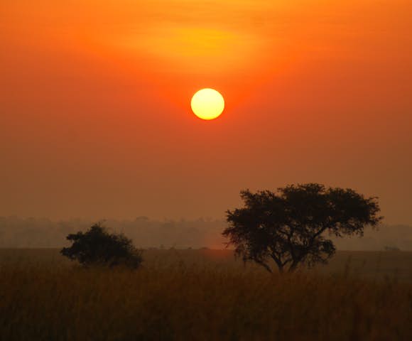 Uganda Safaris