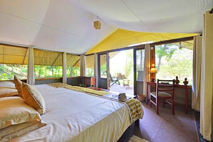 Ishasha Wilderness Camp
