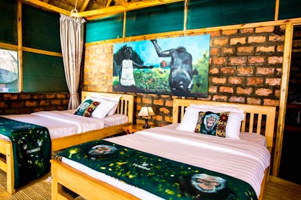 Ngamba Island Chimpanzee Sanctuary