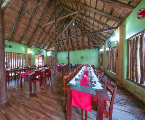 Pakuba Safari Lodge