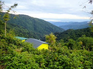 Where Alpine Adventuring Meets Equatorial Africa