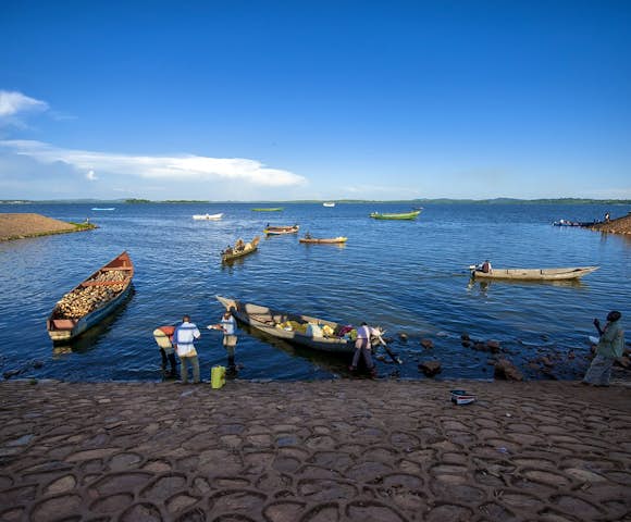 Lake Victoria supports a plethora of wildlife, from hippos to freshwater crabs.