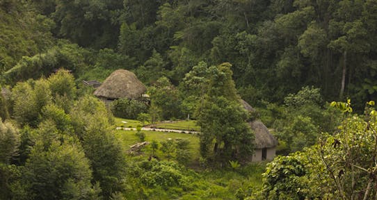 Rushaga Sector