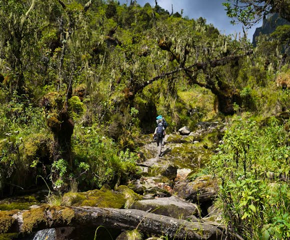 Rwenzori Mountains National Park
