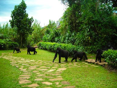 Bwindi Mountain Gorilla Families